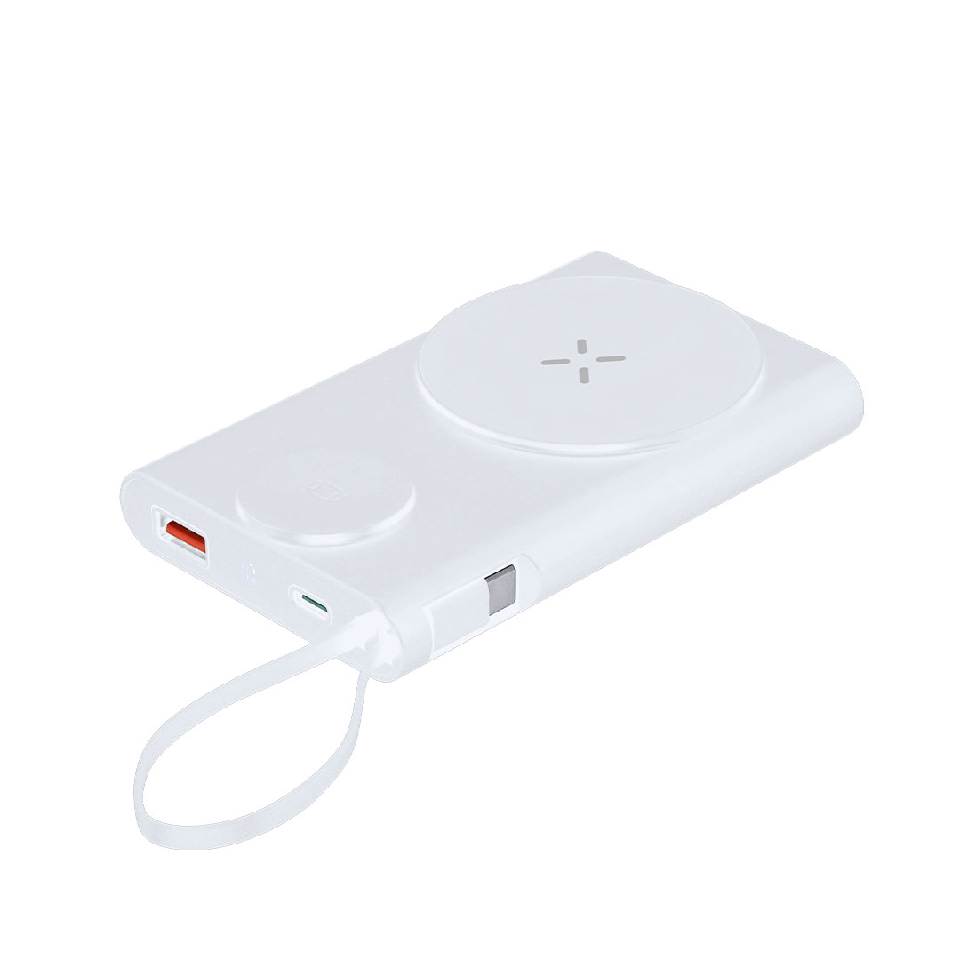 Power Bank Barian
